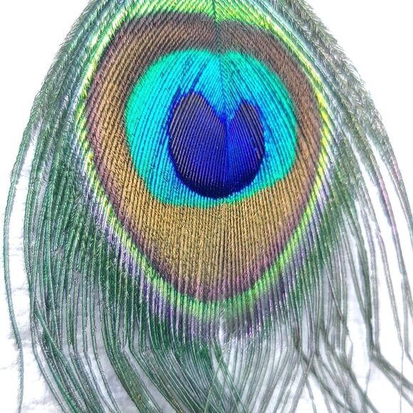 Peacock Eye Feather Wispy Mystical Dangle Earrings Gypsy Hippie 70s Jewelry New - Picture 4 of 6